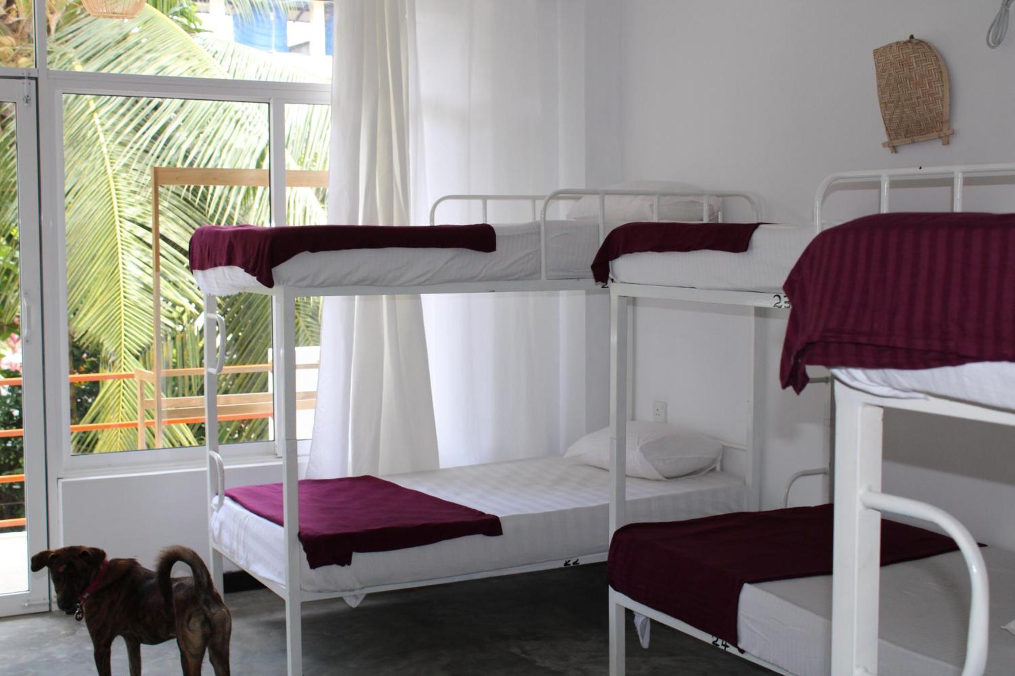 Sun&Moon Hostel Mirissa Buitenkant foto